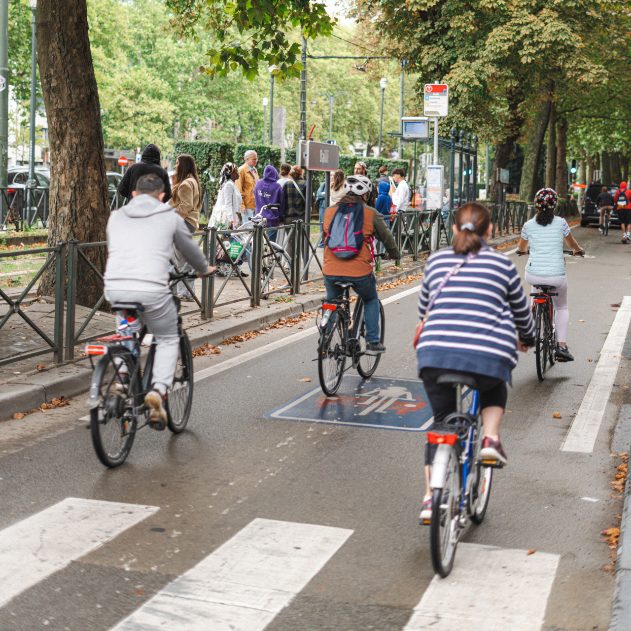 journee sans voiture